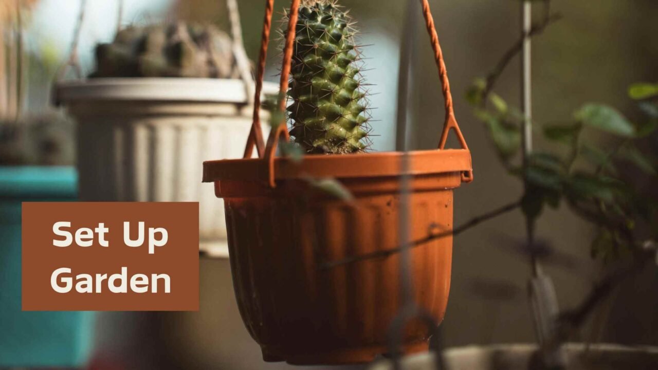 Set-up your North facing garden